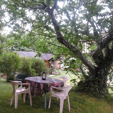 Gite L'Appel De La Foret Betplan Exterior foto