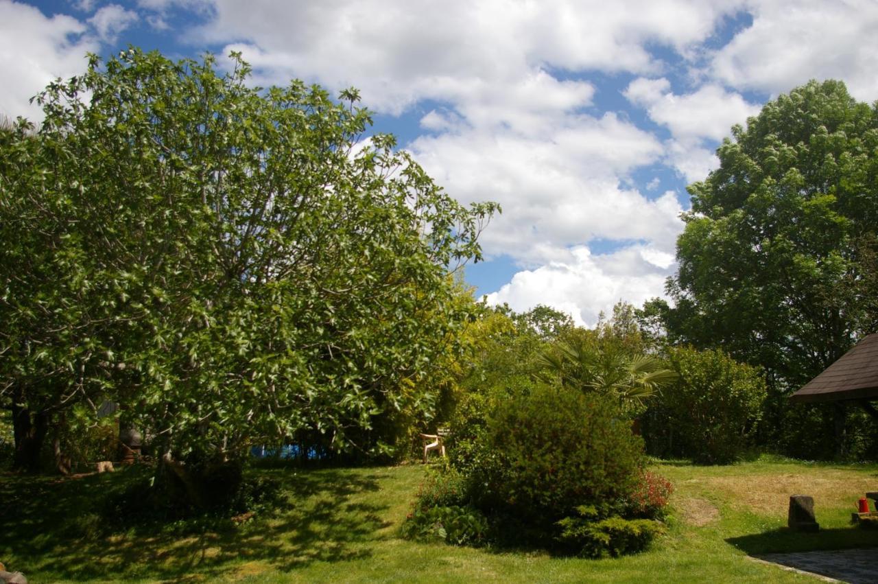 Gite L'Appel De La Foret Betplan Exterior foto