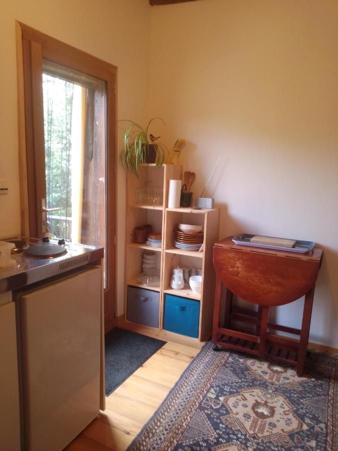 Gite L'Appel De La Foret Betplan Exterior foto